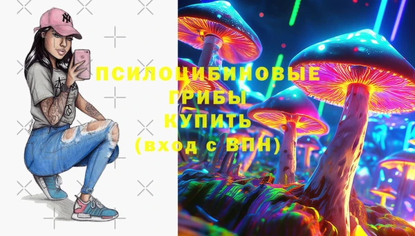 МДПВ Бугульма