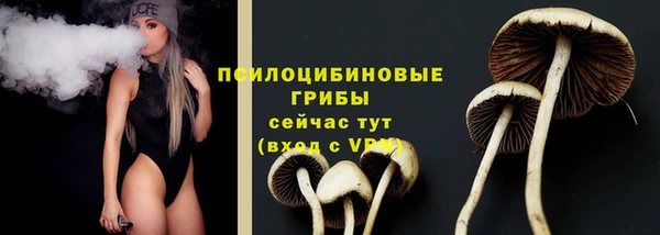 mdpv Сатка