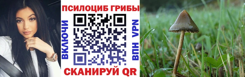 Галлюциногенные грибы Magic Shrooms  наркотики  Питкяранта 