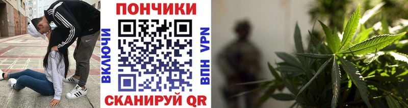 Шишки марихуана OG Kush  Питкяранта 